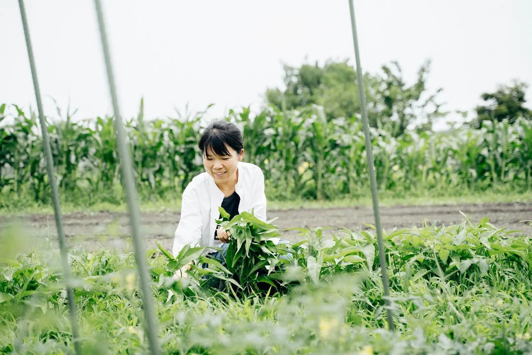 栽培期間中に農薬も肥料も使わない「自然栽培」を実践する「こばと農園」の田島さん